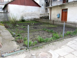 The garden on Ivan Franko Street
