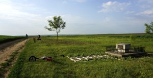 Georadar survey at Rohatyn's south mass grave site