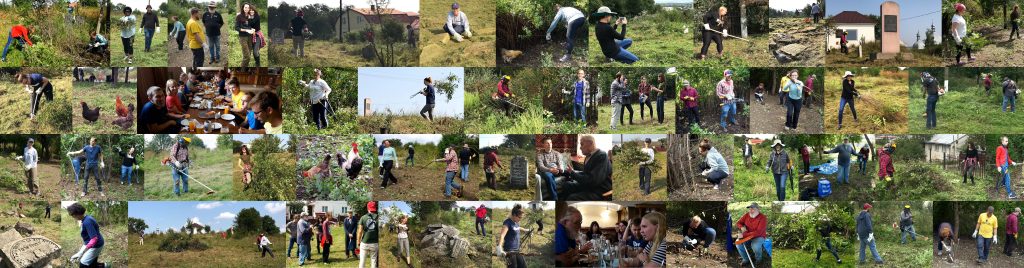 A collage of images from our week working together in Rohatyn's old Jewish cemetery
