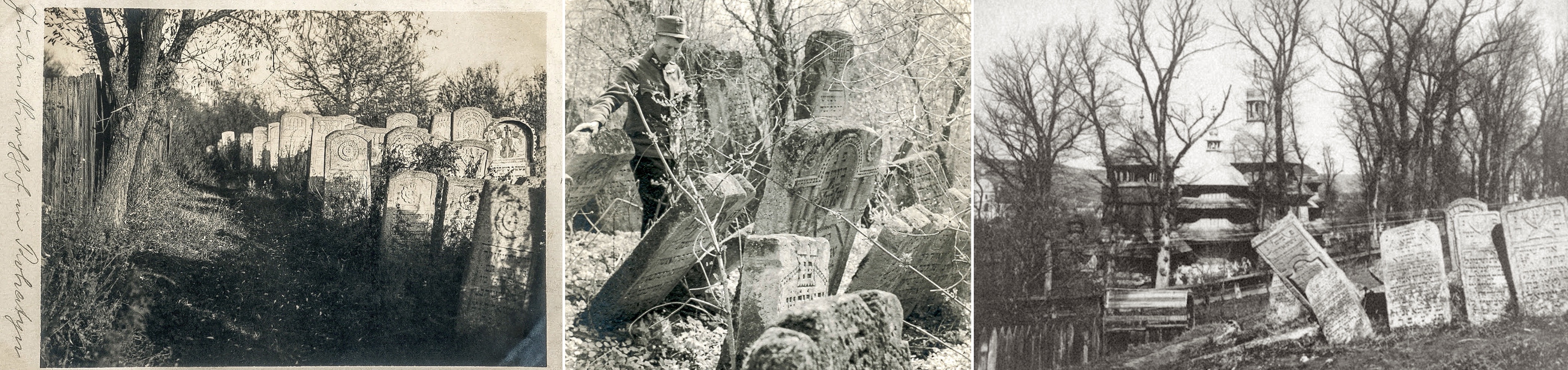 Three views of Rohatyn's old Jewish cemetery