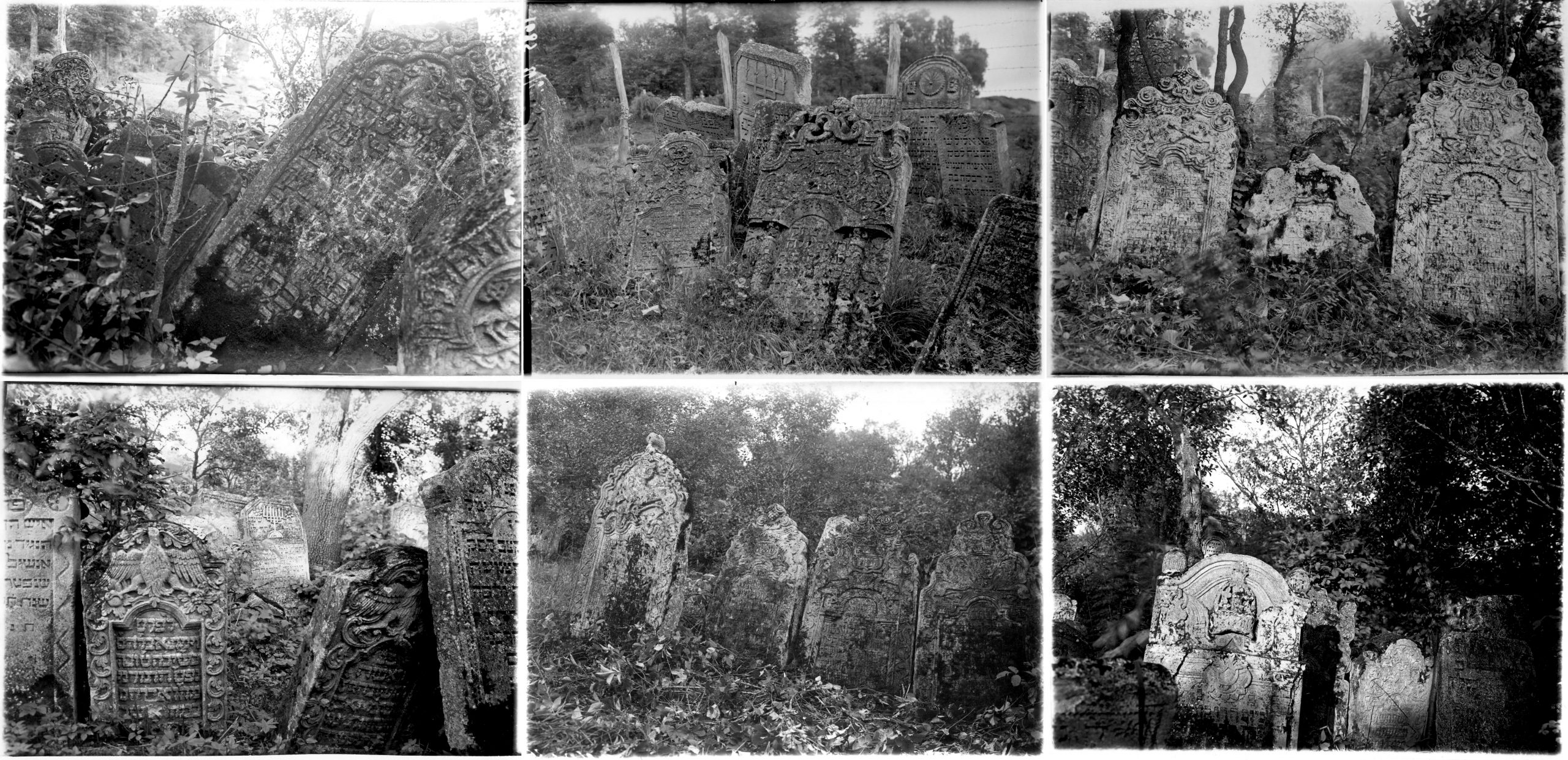 Шість міжвоєнних зображень старого єврейського кладовища в Рогатині